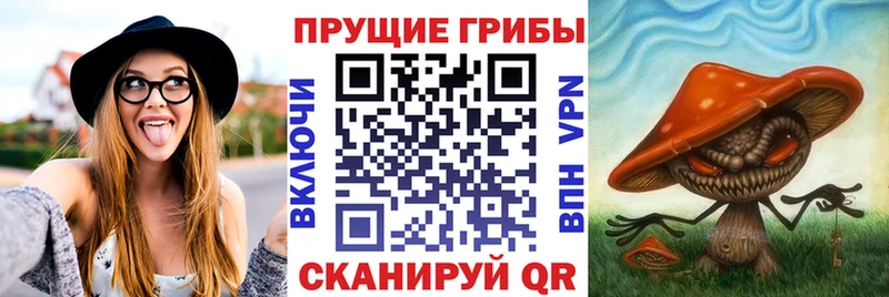hydra рабочий сайт  закладки  Нижние Серги  Галлюциногенные грибы Cubensis 